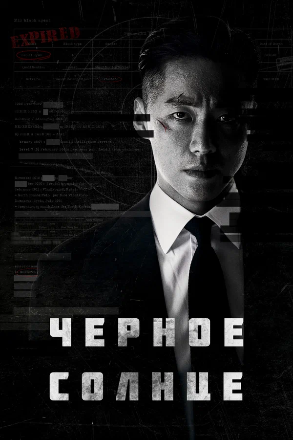 Чёрное солнце — постер