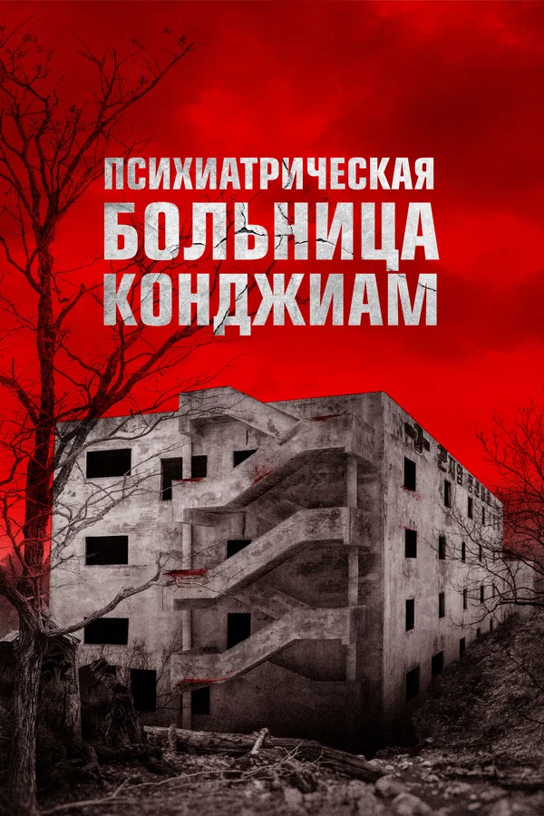 Психиатрическая больница Конджиам — постер