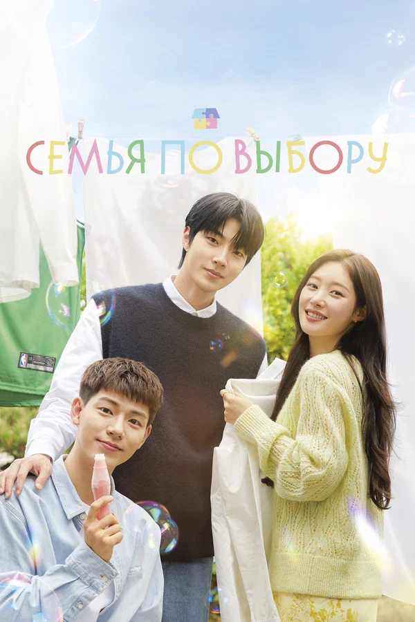 Семья по выбору — постер